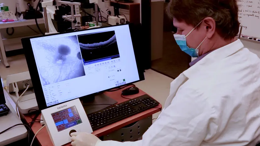 JoVE Research Video for Image Acquisition for Ex Vivo Optical Coherence Tomography (OCT) and Scanning Laser Ophthalmoscopy (SLO) 