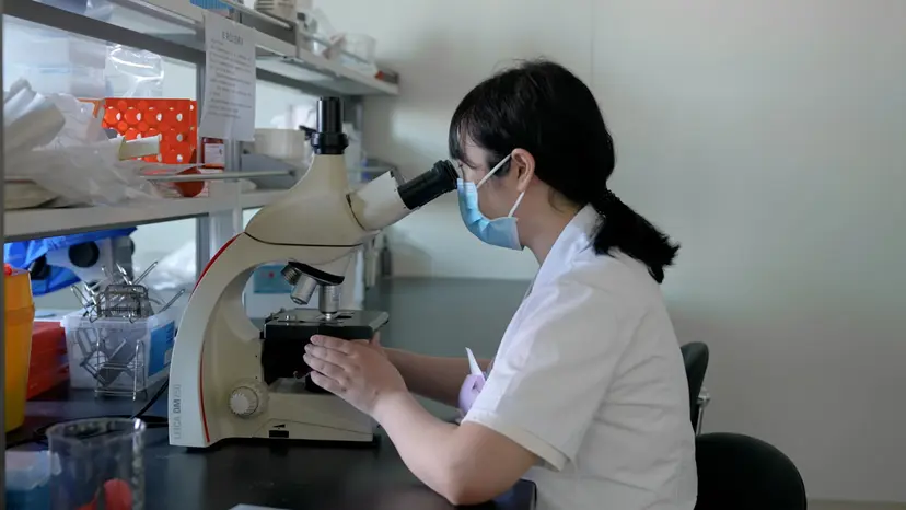 JoVE Research Video for Deciphering Jiawei Shengjiang San Action on Diabetic Nephropathy Using Network Pharmacology