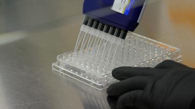 Counting Cells in the Gradient Syringe for Studying Methanotroph Growth in Spatially Resolved Conditions