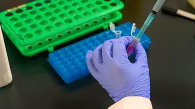 Staining Mouse Bone Marrow Cells with Hoechst to Detect Side Population Cells by Flow Cytometry