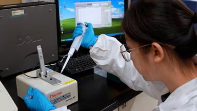 Polysome Profiling and RNA Isolation for Translation Efficiency Analysis in Heat-Stressed <i>Arabidopsis</i> Seedlings