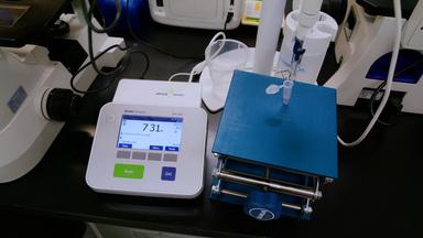 Consistent Generation of Human Vascular Organoids Using Microwell Technology