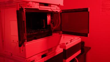 Simultaneous Detection of Retinoids in Murine Tissues Using HPLC Analysis to Study Rhodopsin and Vitamin A Pathways