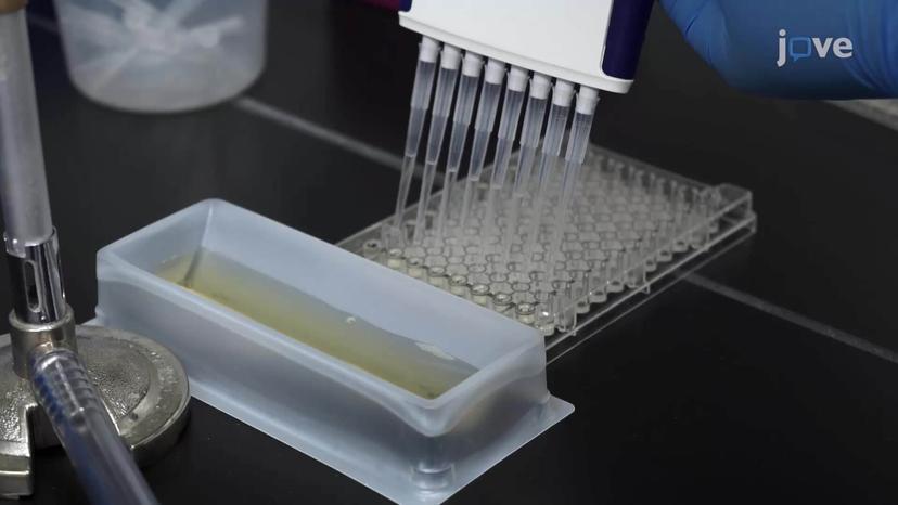 In Vitro Persister Assay: A Method to Evaluate the Effect of Osmolytes on Bacterial Persistence