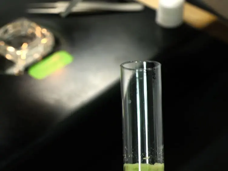 JoVE Research Video for Ex vivo Culturing of Whole, Developing Drosophila Brains