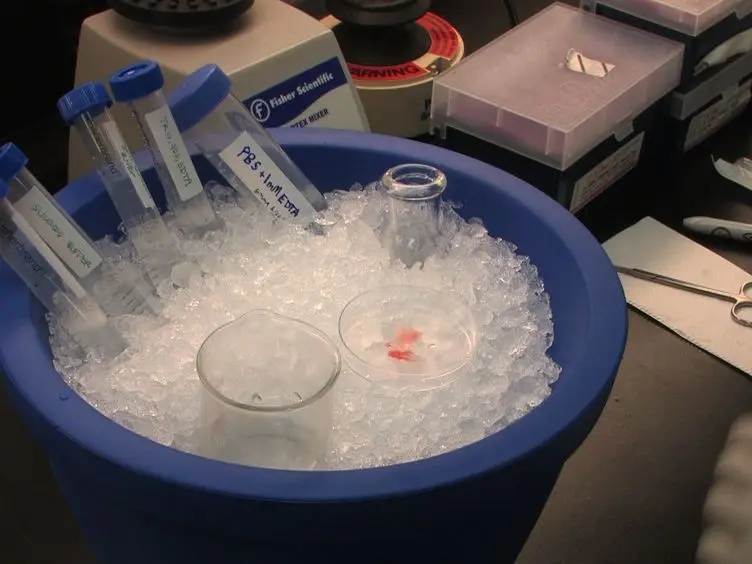 JoVE Research Video for Quantitative Analysis of Chromatin Proteomes in Disease