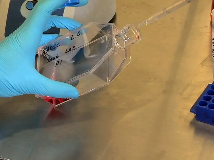 JoVE Research Video for Programming Stem Cells for Therapeutic Angiogenesis Using Biodegradable Polymeric Nanoparticles