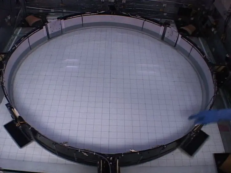 JoVE Research Video for Long-term Behavioral Tracking of Freely Swimming Weakly Electric Fish