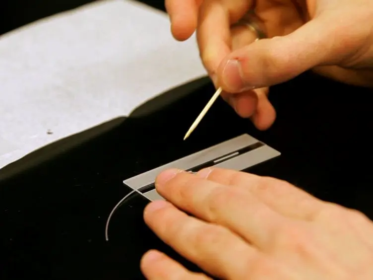 JoVE Research Video for Preparation of Segmented Microtubules to Study Motions Driven by the Disassembling Microtubule Ends