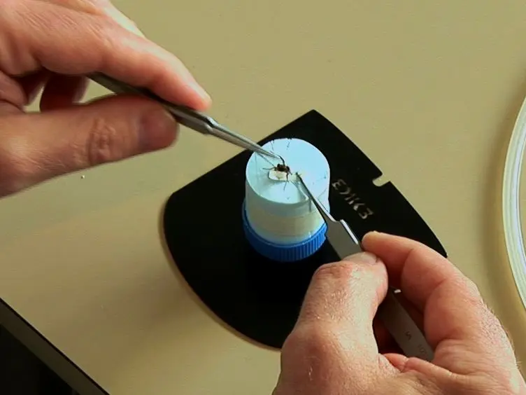 JoVE Research Video for Using Insect Electroantennogram Sensors on Autonomous Robots for Olfactory Searches