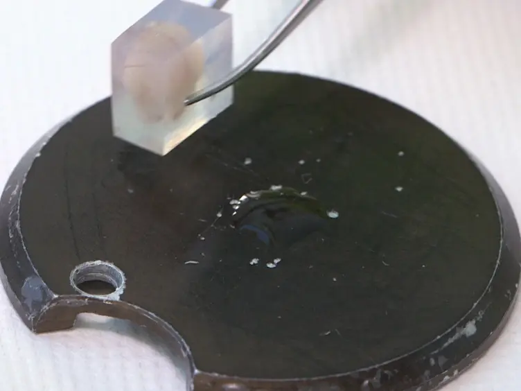 JoVE Research Video for A Novel Strategy Combining Array-CGH, Whole-exome Sequencing and In Utero Electroporation in Rodents to Identify Causative Genes for Brain Malformations