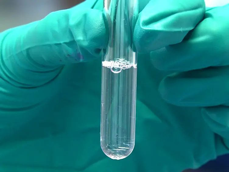 JoVE Research Video for Isolation and Flow Cytometric Analysis of Immune Cells from the Ischemic Mouse Brain