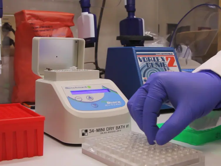 JoVE Research Video for Targeted RNA Sequencing Assay to Characterize Gene Expression and Genomic Alterations
