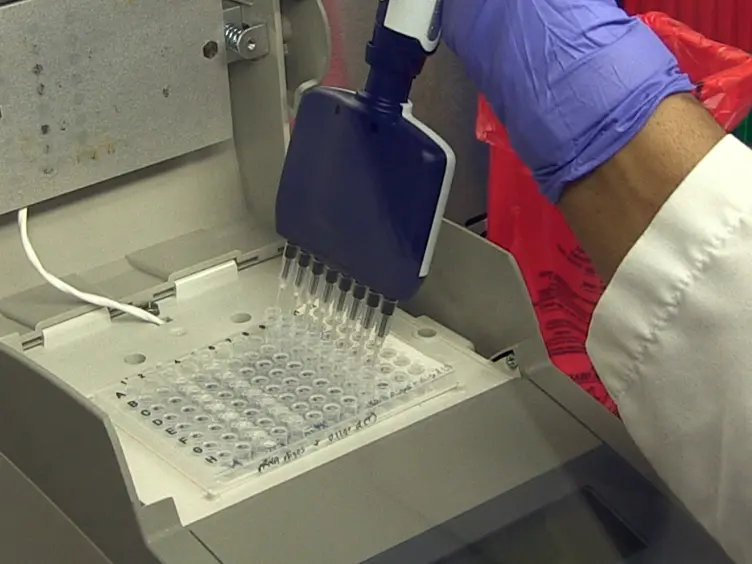 JoVE Research Video for Unbiased Deep Sequencing of RNA Viruses from Clinical Samples