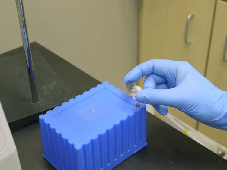 JoVE Research Video for Light-mediated Formation and Patterning of Hydrogels for Cell Culture Applications