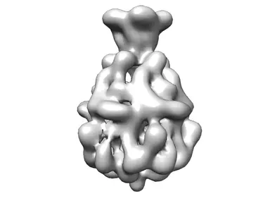 A Robust Single-Particle Cryo-Electron Microscopy (cryo-EM) Processing ...