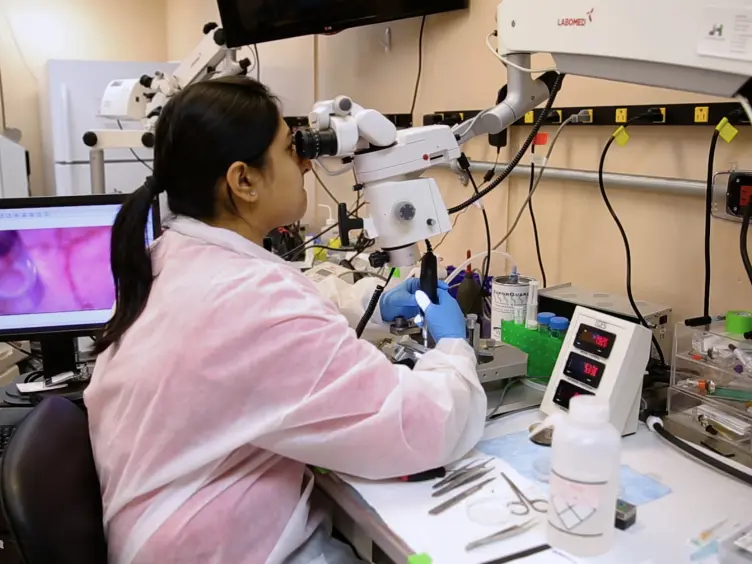 JoVE Research Video for Multi-layer Cortical Ca2+ Imaging in Freely Moving Mice with Prism Probes and Miniaturized Fluorescence Microscopy