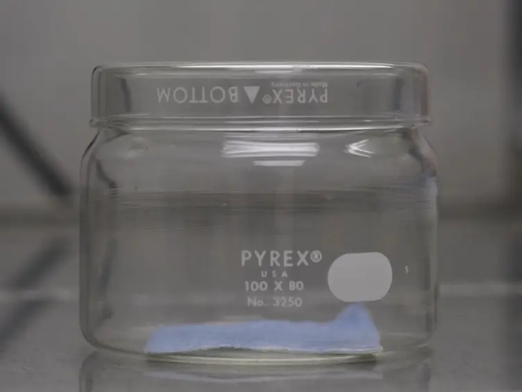 JoVE Research Video for Dissection of the Mouse Pancreas for Histological Analysis and Metabolic Profiling