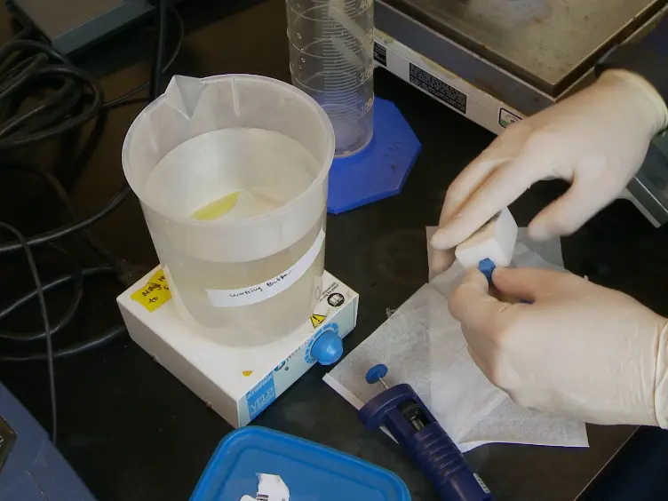 JoVE Research Video for Measuring Biomolecular DSC Profiles with Thermolabile Ligands to Rapidly Characterize Folding and Binding Interactions