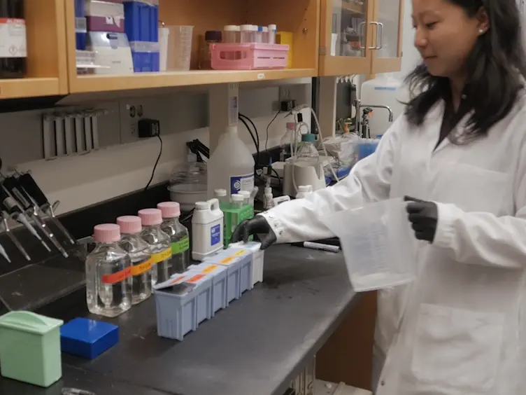 JoVE Research Video for Quantitative Immunohistochemistry of the Cellular Microenvironment in Patient Glioblastoma Resections