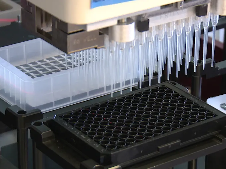 JoVE Research Video for Therapy Testing in a Spheroid-based 3D Cell Culture Model for Head and Neck Squamous Cell Carcinoma