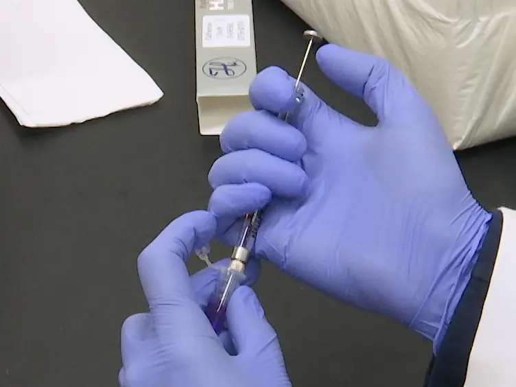 JoVE Research Video for Retroductal Nanoparticle Injection to the Murine Submandibular Gland