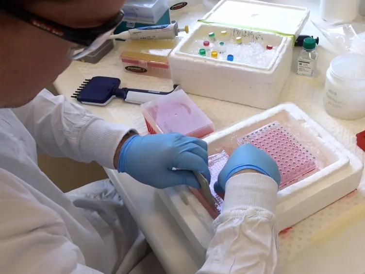 JoVE Research Video for Candidate Gene Testing in Clinical Cohort Studies with Multiplexed Genotyping and Mass Spectrometry
