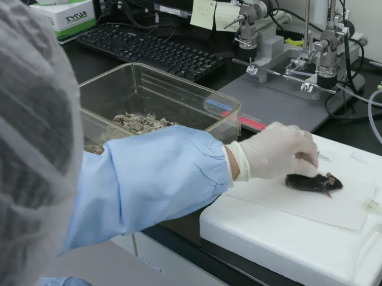 JoVE Research Video for Automated, Long-term Behavioral Assay for Cognitive Functions in Multiple Genetic Models of Alzheimer's Disease, Using IntelliCage