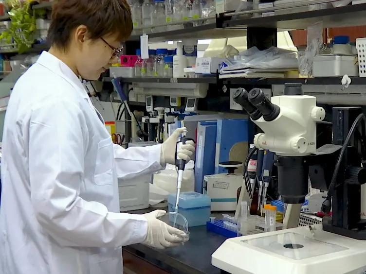 Nanoparticle-mediated siRNA Gene-silencing in Adult Zebrafish Heart