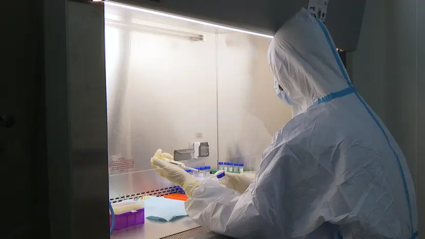 JoVE Research Video for Evaluation of Zika Virus-specific T-cell Responses in Immunoprivileged Organs of Infected Ifnar1-/- Mice