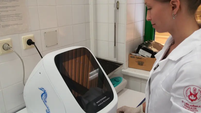 JoVE Research Video for Assessment of the Metabolic Profile of Primary Leukemia Cells