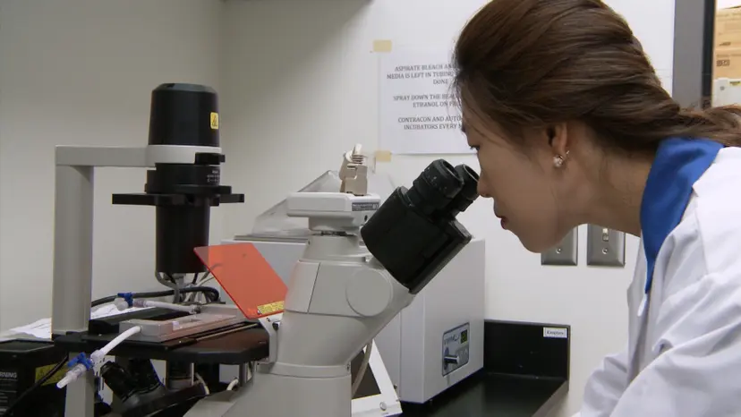 JoVE Research Video for Gene Expression Analysis of Endothelial Cells Exposed to Shear Stress Using Multiple Parallel-plate Flow Chambers