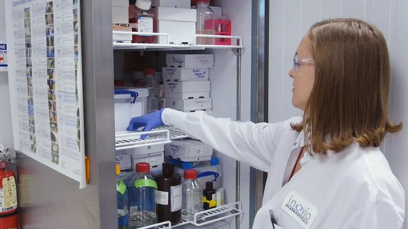 JoVE Research Video for Optimized Interferon-gamma ELISpot Assay to Measure T Cell Responses in the Guinea Pig Model after Vaccination