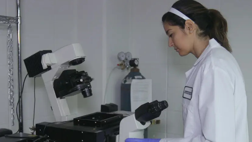 JoVE Research Video for Assembling Molecular Shuttles Powered by Reversibly Attached Kinesins