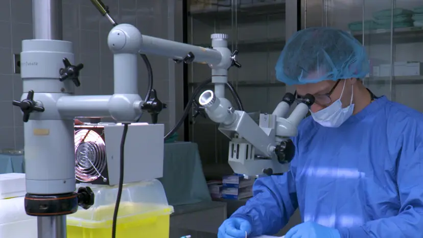 JoVE Research Video for Robust Ligature-Induced Model of Murine Periodontitis for the Evaluation of Oral Neutrophils