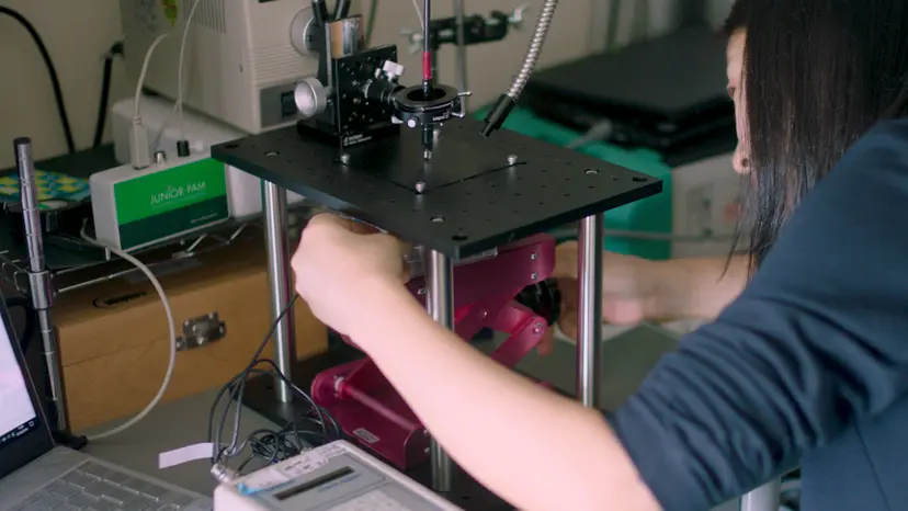 JoVE Research Video for Evaluation of Photosynthetic Behaviors by Simultaneous Measurements of Leaf Reflectance and Chlorophyll Fluorescence Analyses