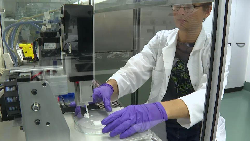 Core/shell Printing Scaffolds For Tissue Engineering Of Tubular Structures