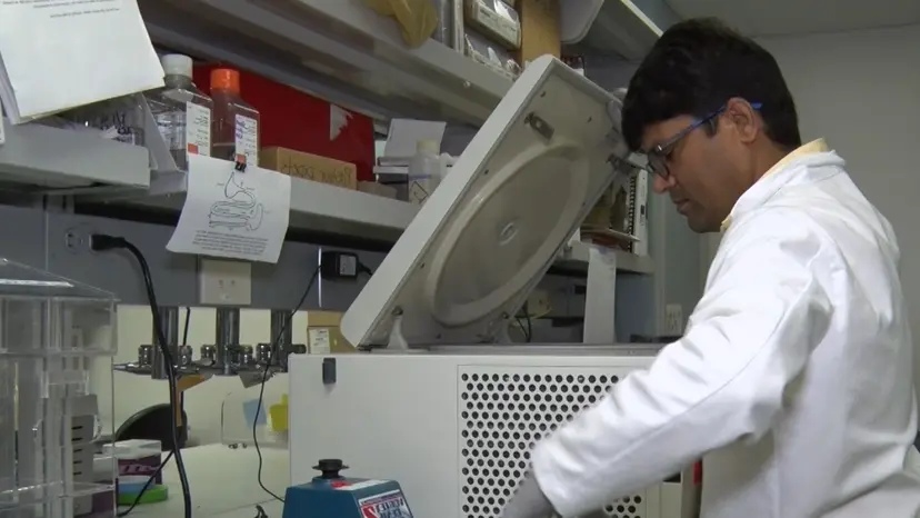 JoVE Research Video for Microbiota Analysis Using Two-step PCR and Next-generation 16S rRNA Gene Sequencing
