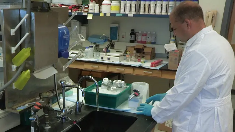 JoVE Research Video for Quantification of Coenzyme A in Cells and Tissues