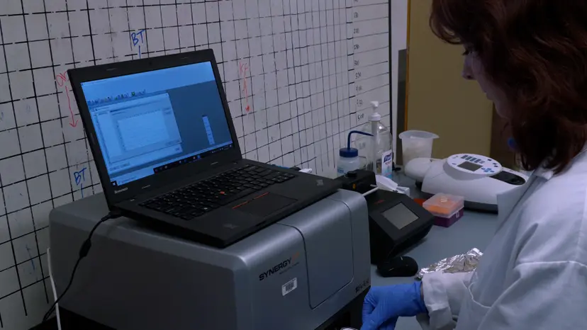 JoVE Research Video for Determination of Chemical Inhibitor Efficiency against Intracellular Toxoplasma Gondii Growth Using a Luciferase-Based Growth Assay