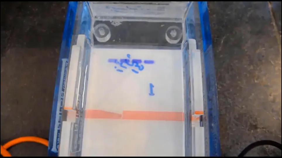 Rapid and Cost-Effective RNA Extraction of Rat Pancreatic Tissue
