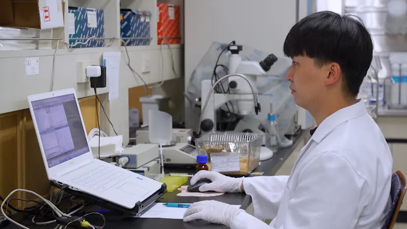 JoVE Research Video for Electrocardiogram Recordings in Anesthetized Mice using Lead II