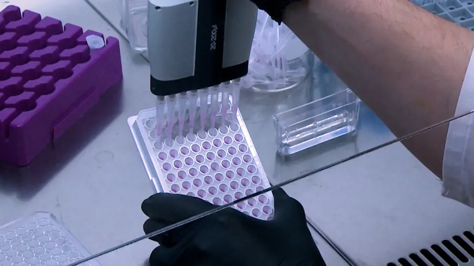 Demonstration of Heterologous Complexes formed by Golgi-Resident Type III Membrane Proteins using Split Luciferase Complementation Assay
