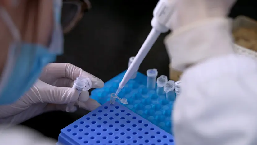 JoVE Research Video for A Non-Coding Small RNA MicC Contributes to Virulence in Outer Membrane Proteins in Salmonella Enteritidis