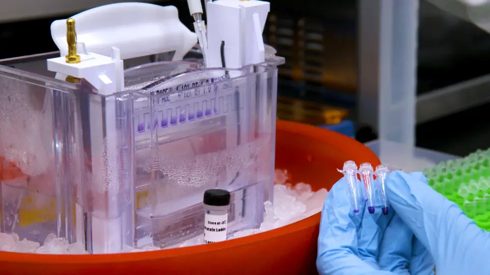 DNA-Tethered RNA Polymerase for Programmable In vitro Transcription and Molecular Computation