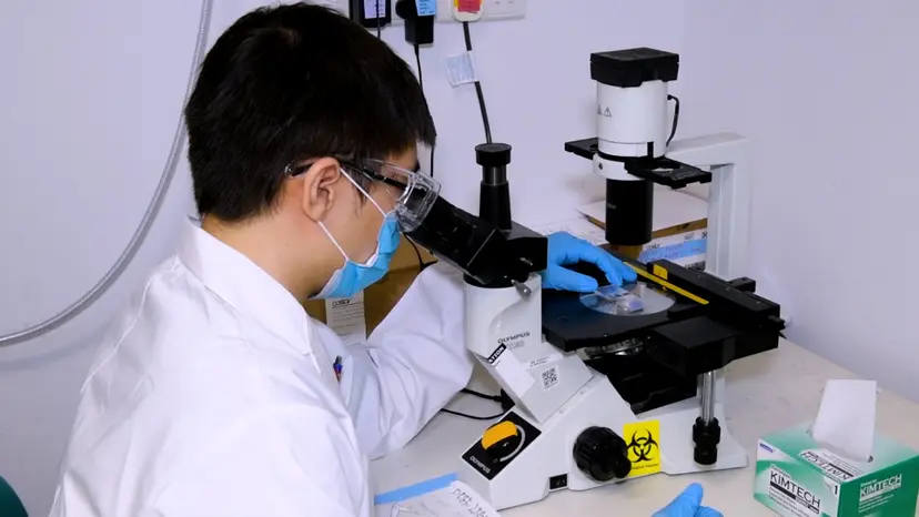 JoVE Research Video for Contact-Free Co-Culture Model for the Study of Innate Immune Cell Activation During Respiratory Virus Infection