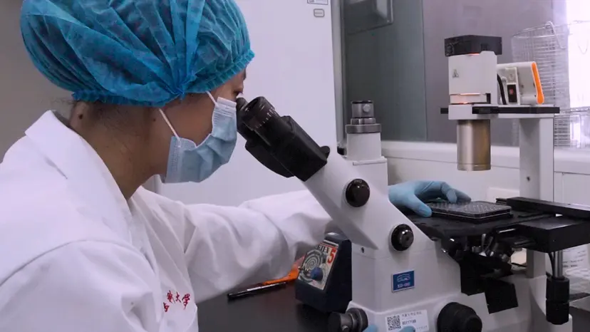 JoVE Research Video for A Rapid Screening Workflow to Identify Potential Combination Therapy for GBM using Patient-Derived Glioma Stem Cells