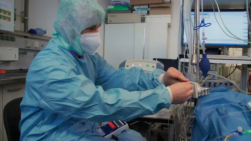JoVE Research Video for Surfactant Depletion Combined with Injurious Ventilation Results in a Reproducible Model of the Acute Respiratory Distress Syndrome (ARDS)