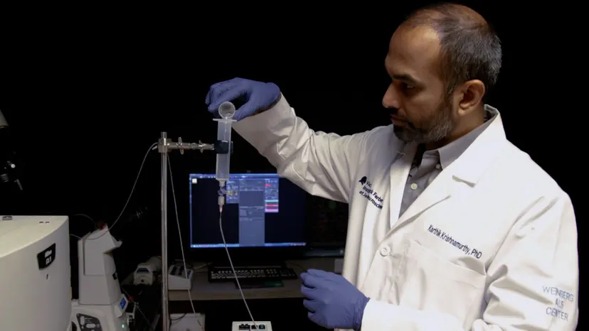 JoVE Research Video for Real-Time Fluorescent Measurement of Synaptic Functions in Models of Amyotrophic Lateral Sclerosis