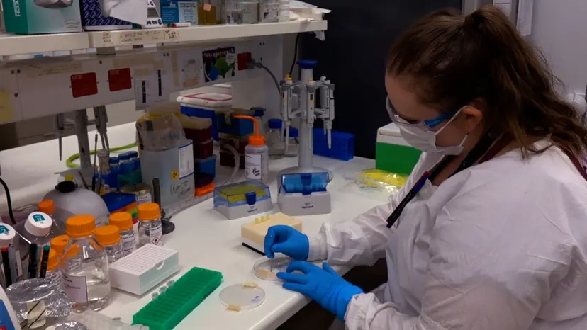 JoVE Research Video for The Application of Open Searching-based Approaches for the Identification of Acinetobacter baumannii O-linked Glycopeptides